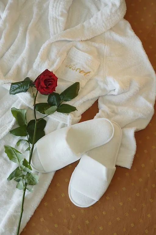 Ascot Apartment Fronte Mare & Spa Rimini Italy